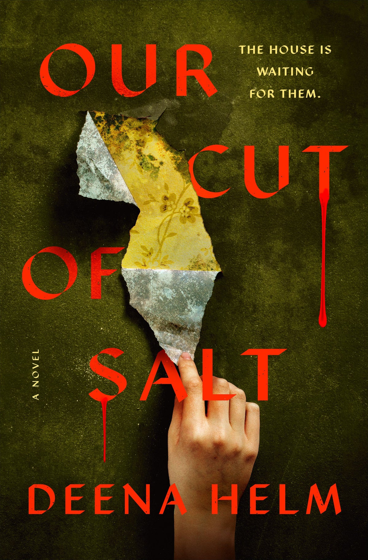 NEW Our Cut of Salt