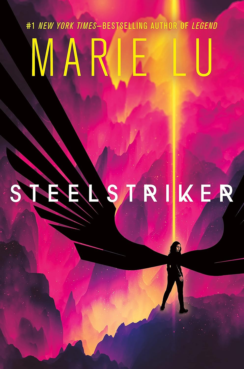 USED: Steelstriker Hard Cover