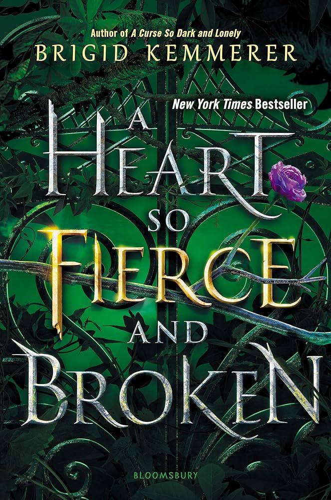USED: A Heart So Fierce and Broken