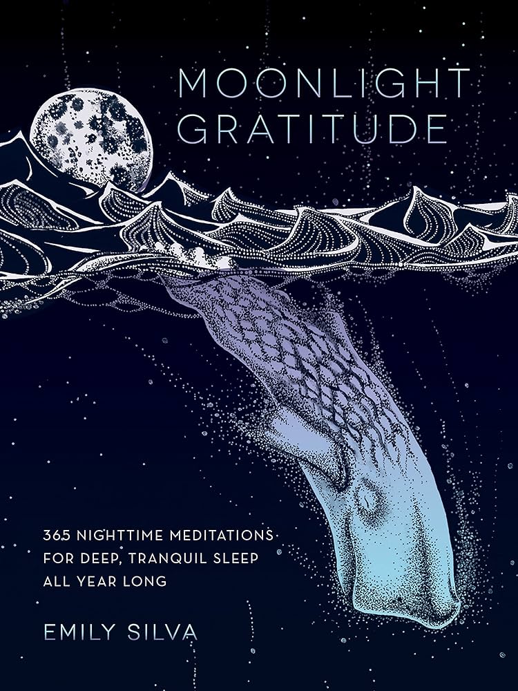 USED: 365 Nighttime Meditations (Hardcover)