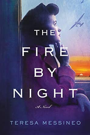 The Fire by Night: A Novel cover image