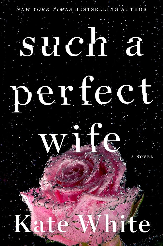 Such a Perfect Wife: A Novel cover image