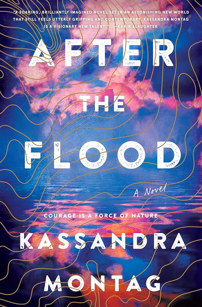 After the Flood: A Novel cover image