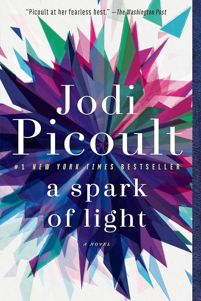 A Spark of Light: A Novel cover image