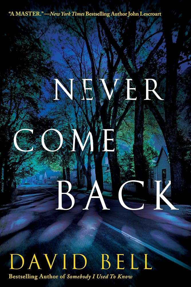 Never Come Back cover image