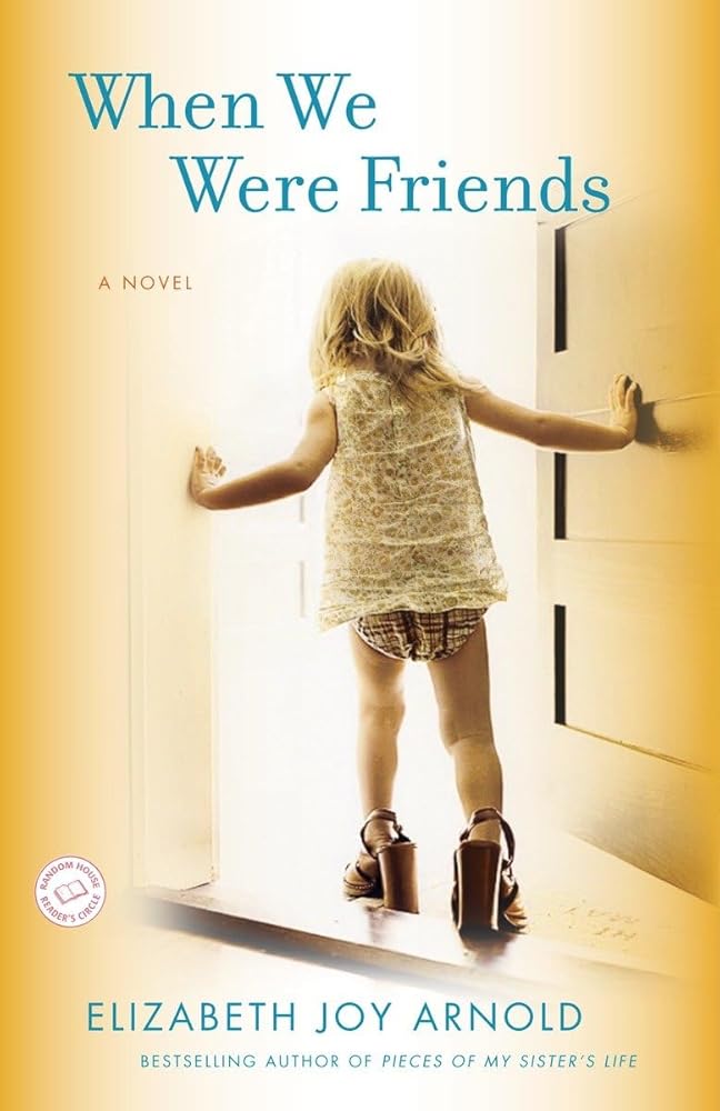 When We Were Friends: A Novel cover image