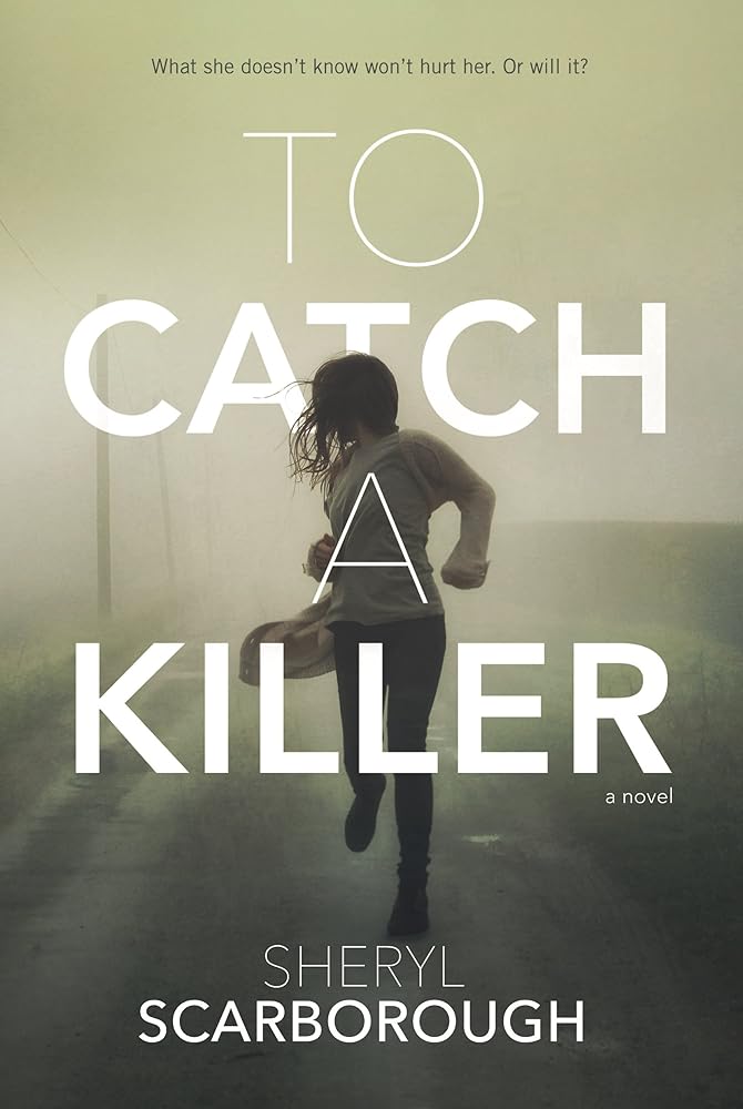 To Catch a Killer: A Novel (Erin Blake, 1) cover image