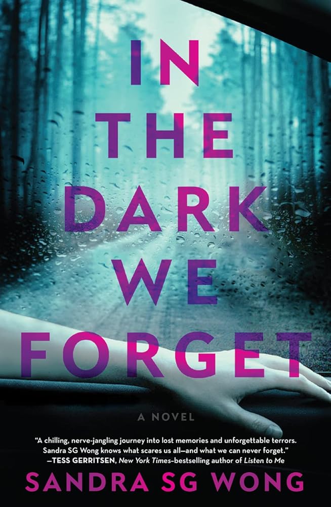 In the Dark We Forget: A Novel cover image
