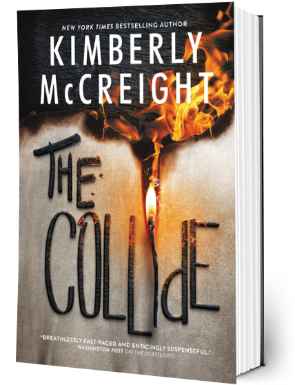 USED: The Collide (hardcover)
