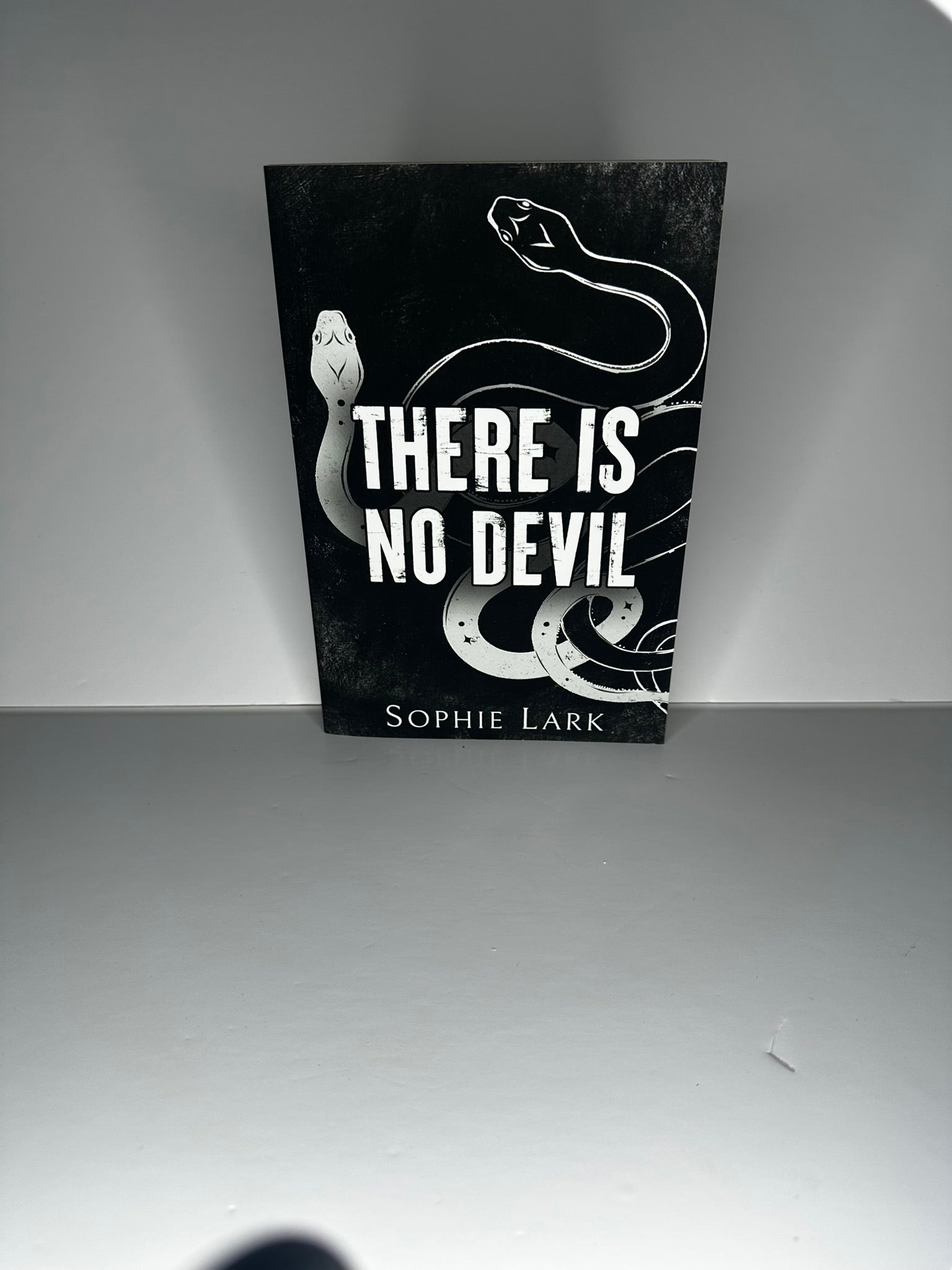 USED: There is No Devil