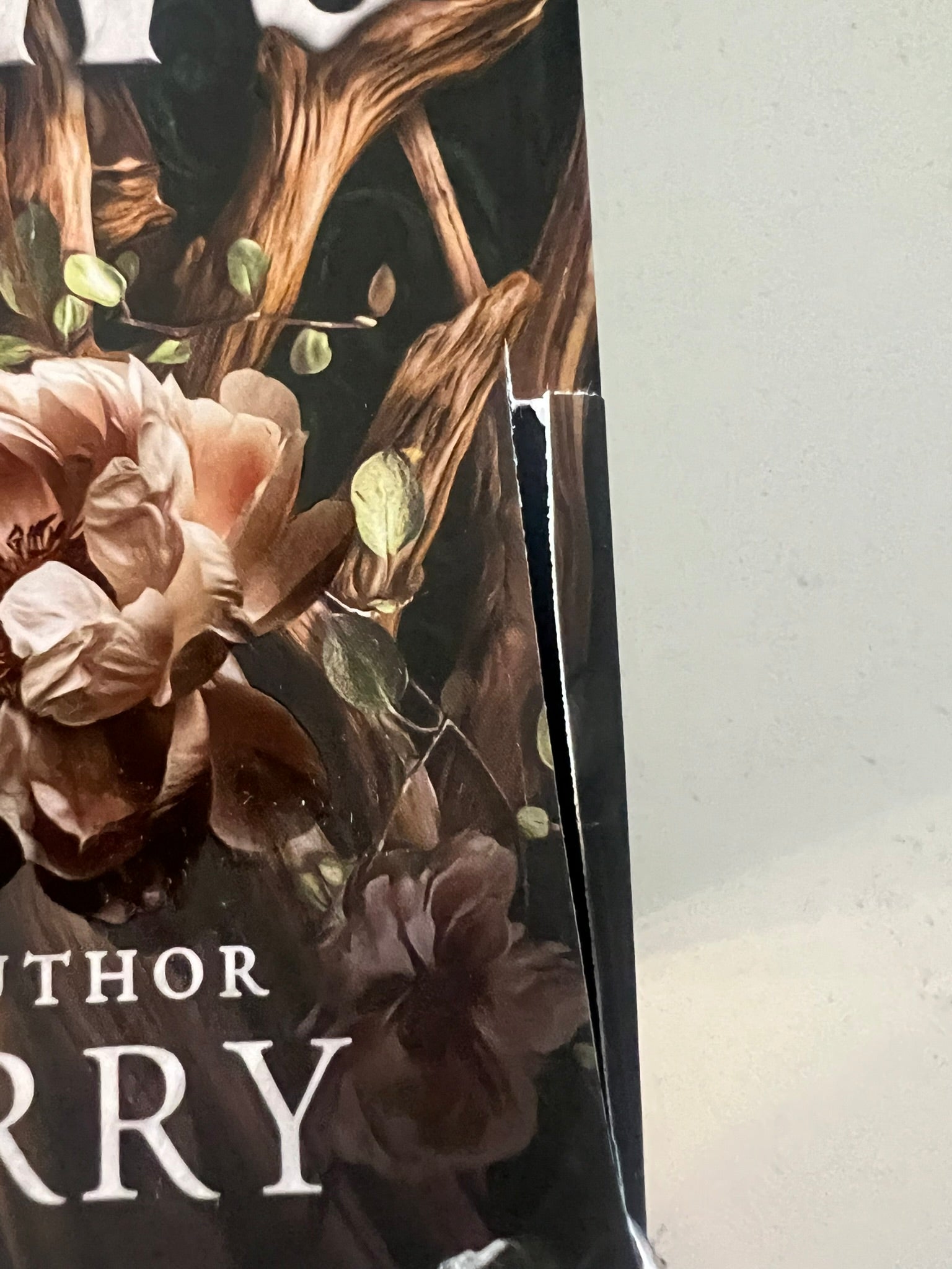 NEW: Shield of Sparrows