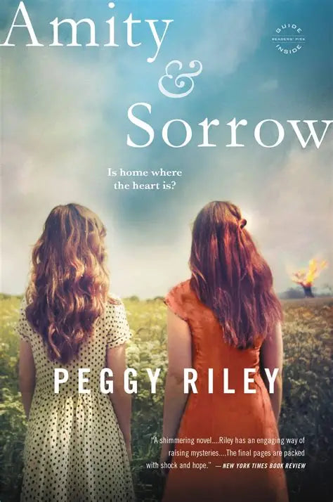 USED: Amity and Sorrow